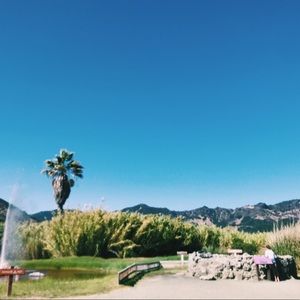 Meet your Posher, Ella